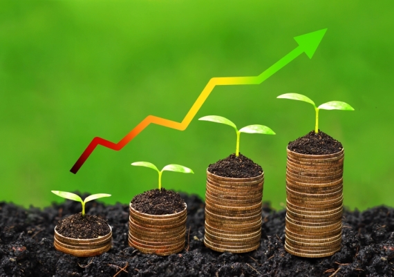 growth-coins-570.jpg